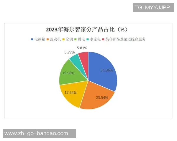 足球行业中的避税策略与财务透明度的探讨与反思