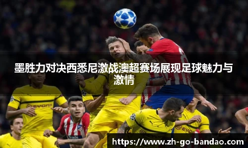 半岛体育中国