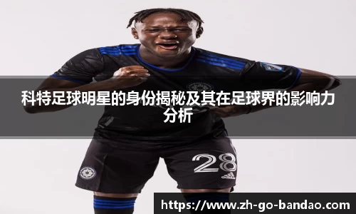 半岛体育