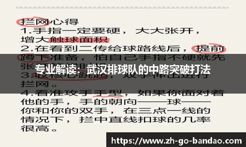 半岛体育官方网站